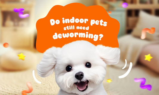 Do Indoor Pets Still Need Deworming?