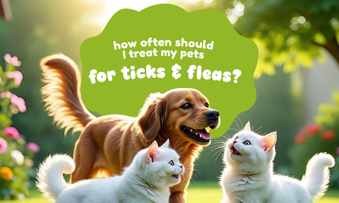 How Often Should I Treat My Pets for Ticks and Fleas?