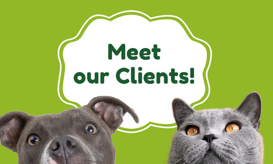 Happy Clients, Happy Pets!