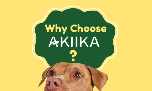Why Choose Akiika?