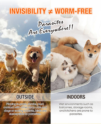 AKIIKA 4pcs Albendazole Tablets 0.1g in one box