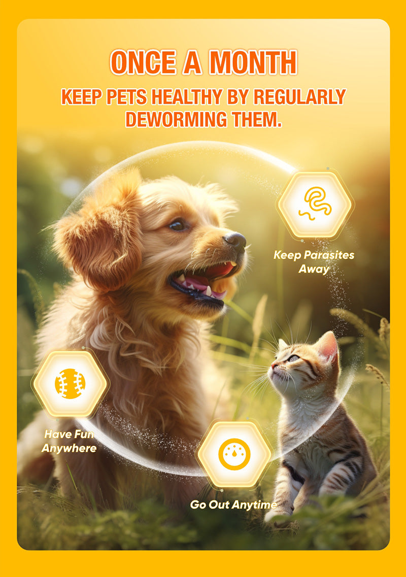 AKIIKA 4pcs Albendazole Tablets 0.1g in one box